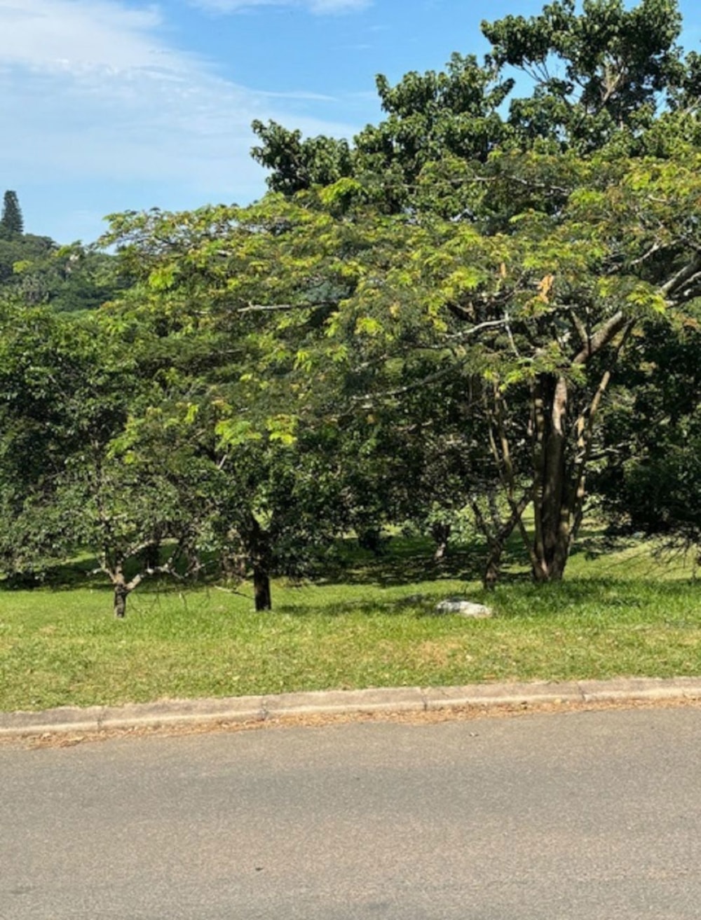 Vacant land for sale in Pennington - 1SI1729178 Vacant land for sale in Pennington - 1SI1729178