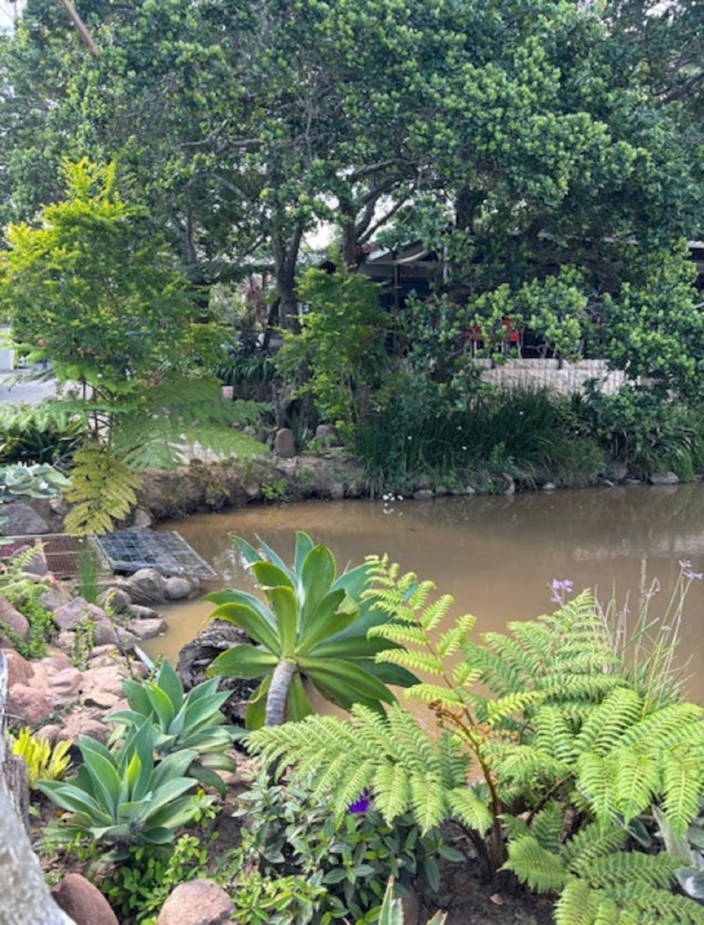 Vacant land for sale in Pennington - 1SI1729178 Vacant land for sale in Pennington - 1SI1729178