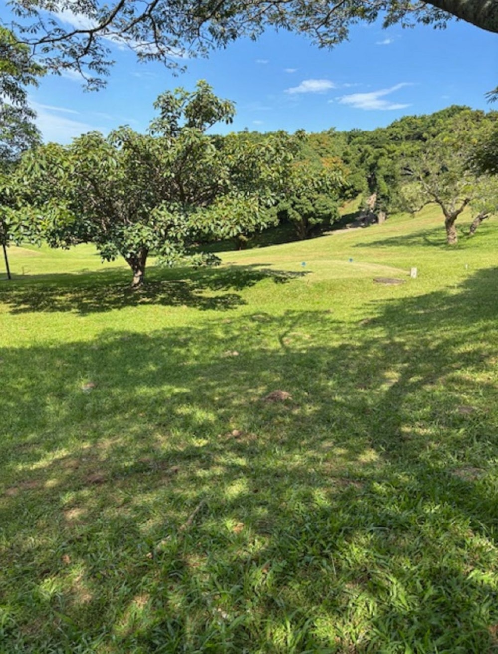 Vacant land for sale in Pennington - 1SI1729178 Vacant land for sale in Pennington - 1SI1729178