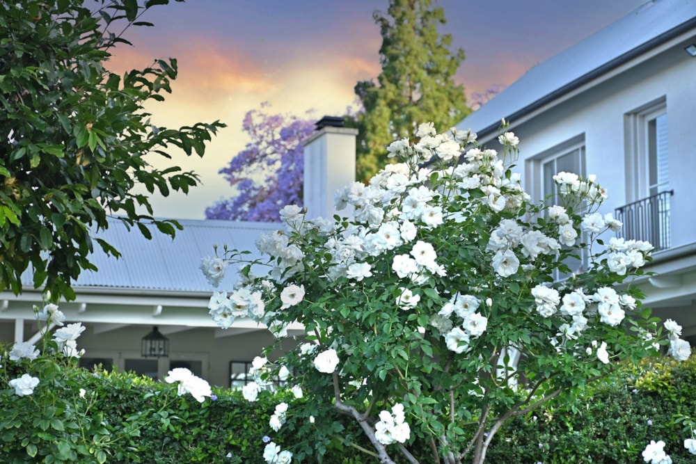 House for sale in Sandhurst - HP1728803