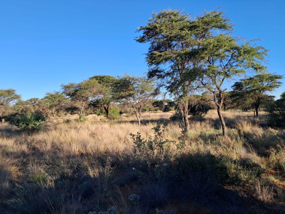 Farm vacant land for sale in Kuruman Centre - 1RN1728840