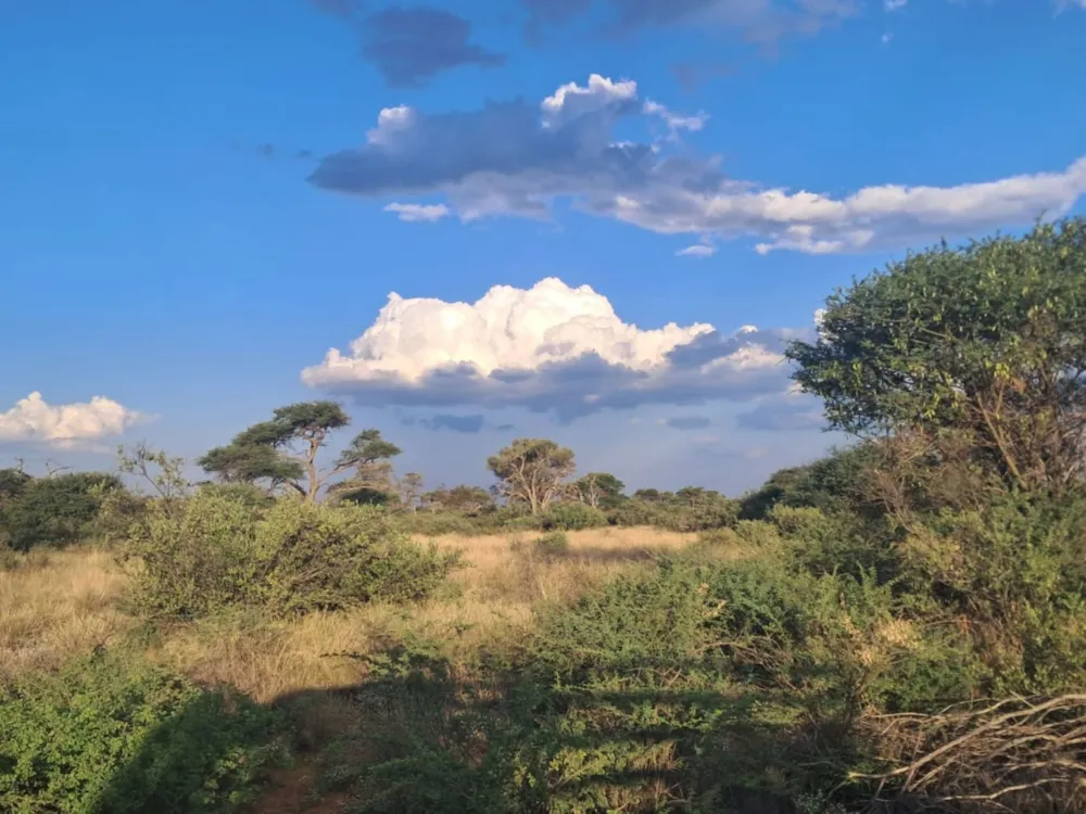 Farm vacant land for sale in Kuruman Centre - 1RN1728840 Farm vacant land for sale in Kuruman Centre - 1RN1728840