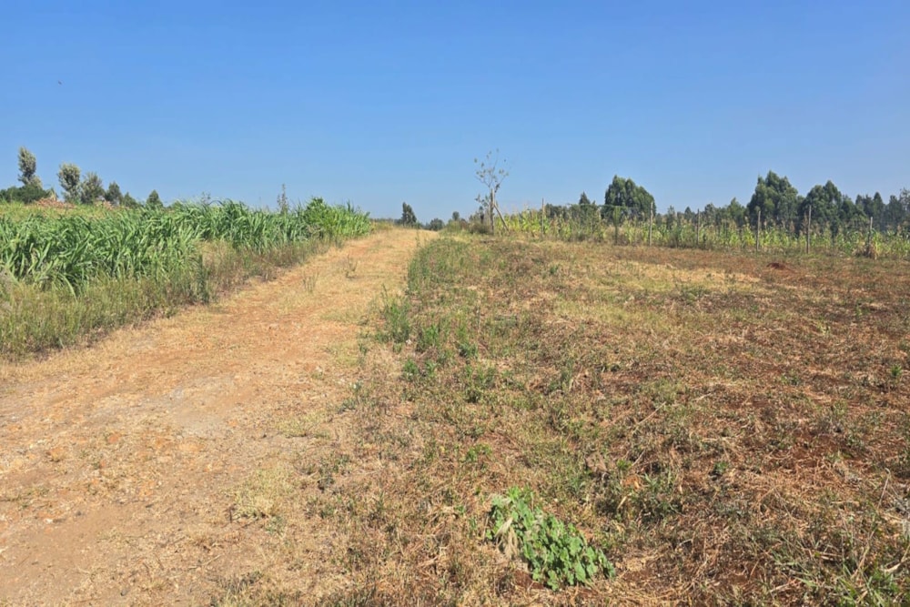 Residential vacant land for sale in Runda , Kenya - 3KE1728943