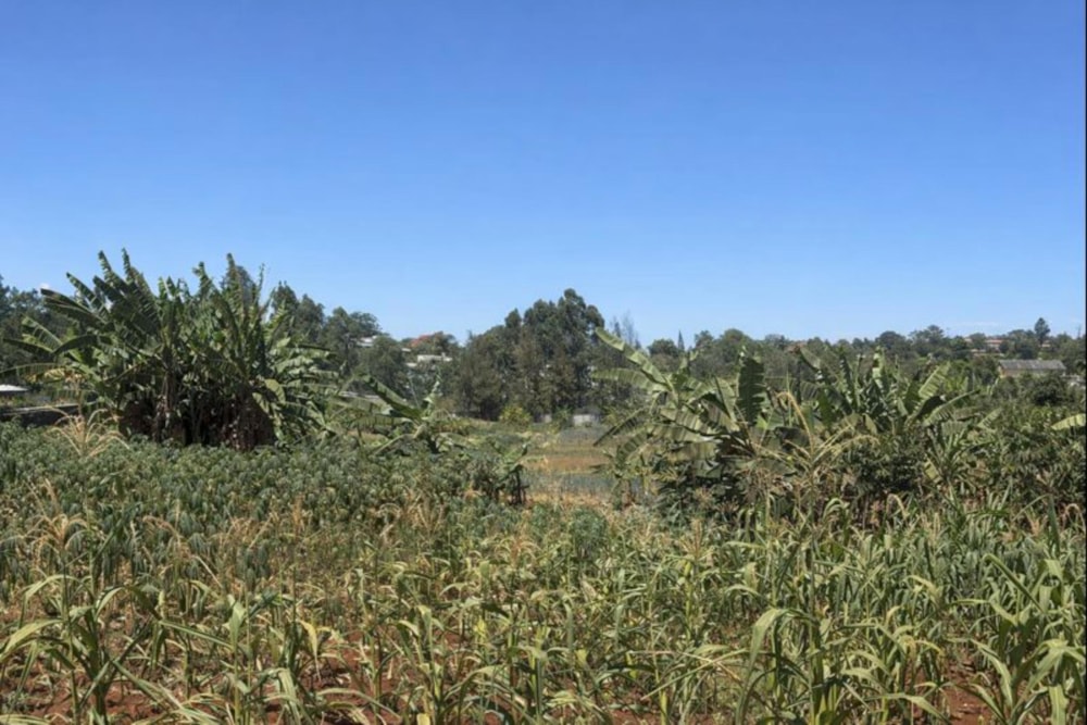 Residential vacant land for sale in Loresho, Kenya - 3KE1728884