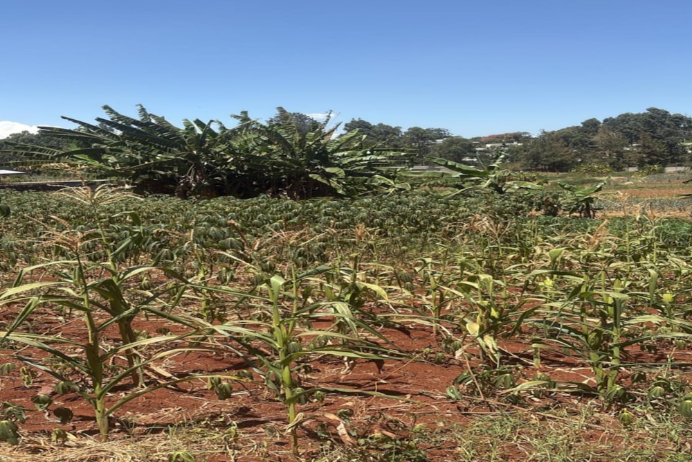 Residential vacant land for sale in Loresho, Kenya - 3KE1728884