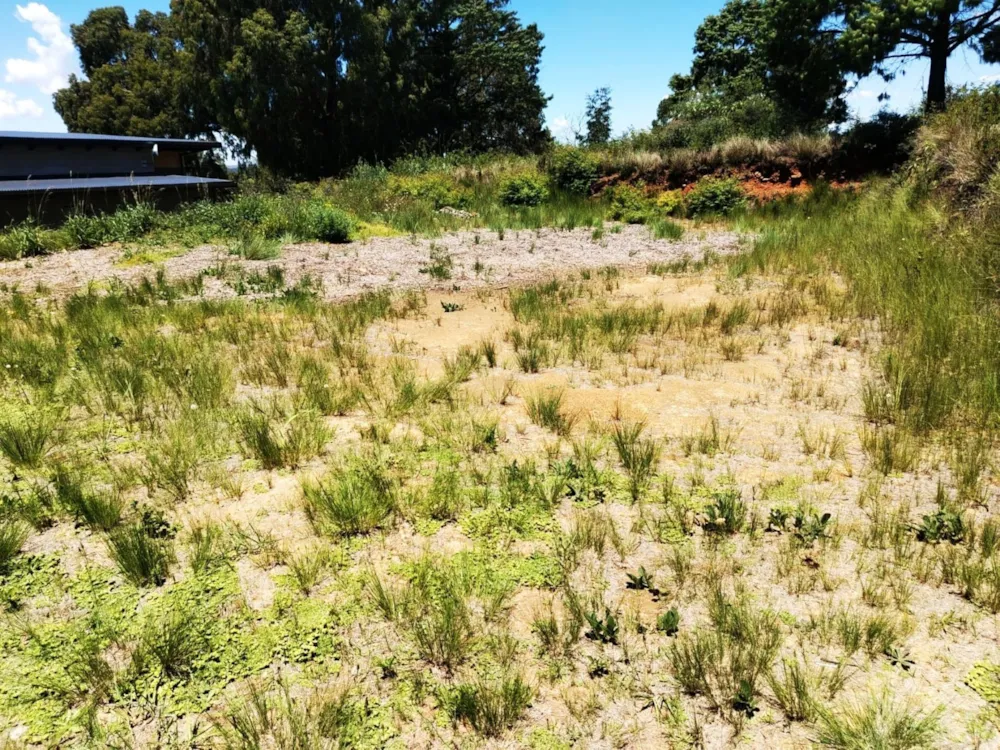 Vacant land for sale in Nottingham Road - 1PM1728898 Vacant land for sale in Nottingham Road - 1PM1728898