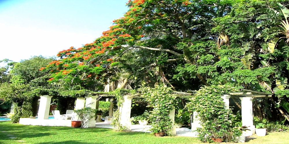 Smallholding for sale in Umzumbe - 1PSH1730549