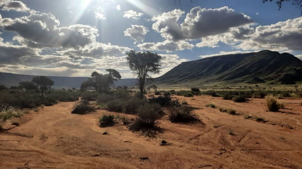 Livestock farm for sale in Keetmanshoop, Namibia - 3NM1729055