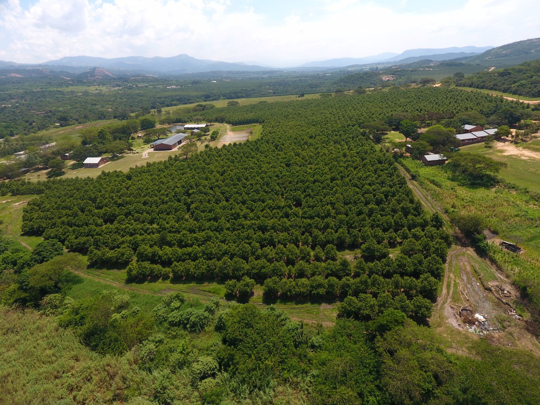 Nut farm for sale in Mbombela Rural (Nelspruit Rural) - 1NK1729083