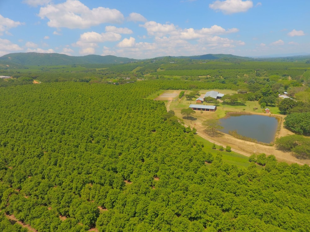 Nut farm for sale in Mbombela Rural (Nelspruit Rural) - 1NK1729083