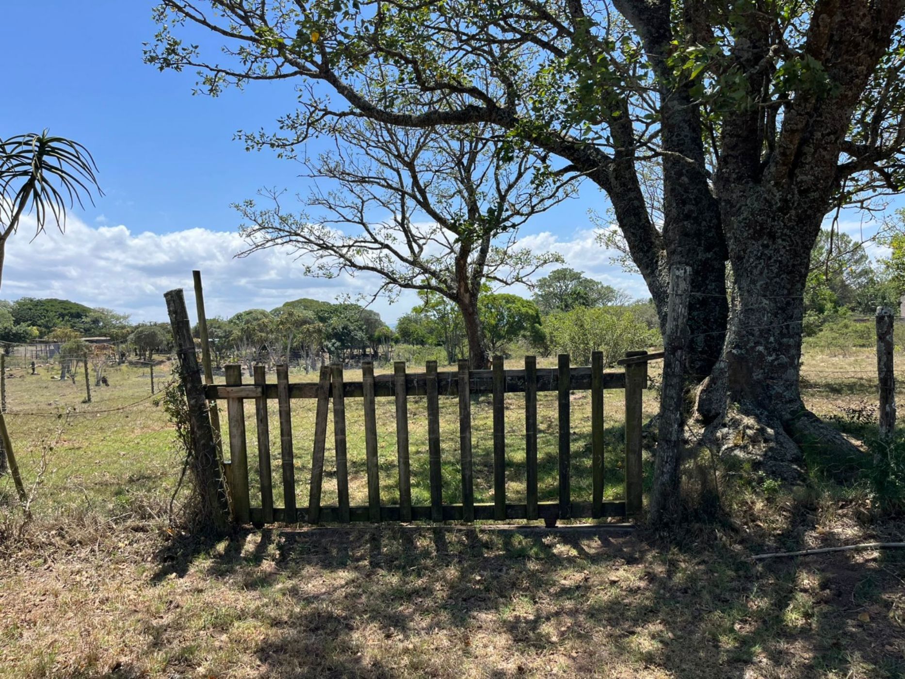 Residential vacant land for sale in Bathurst - 1PF1729168