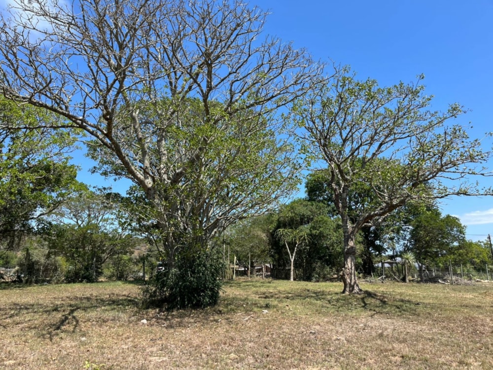 Residential vacant land for sale in Bathurst - 1PF1729168 Residential vacant land for sale in Bathurst - 1PF1729168