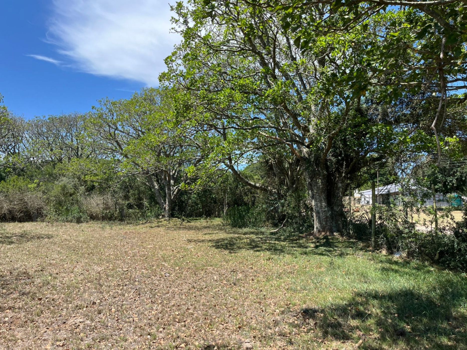 Residential vacant land for sale in Bathurst - 1PF1729168