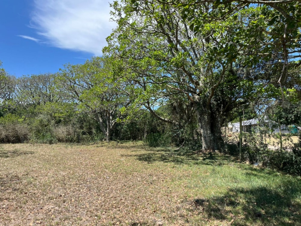 Residential vacant land for sale in Bathurst - 1PF1729168 Residential vacant land for sale in Bathurst - 1PF1729168