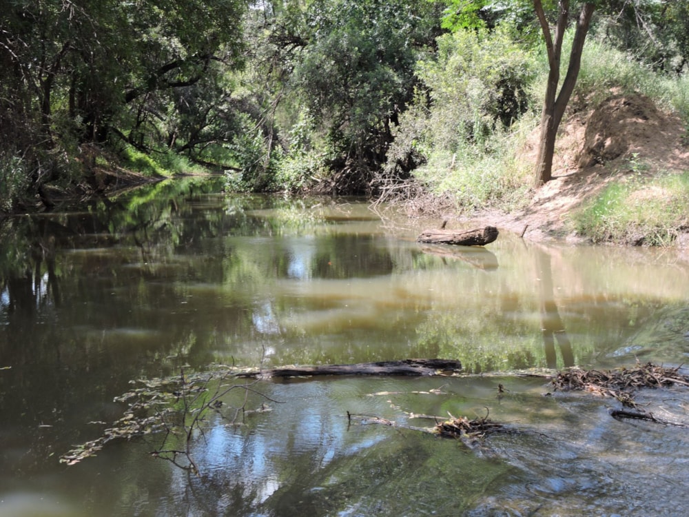 Mixed use farm for sale in Koster - 1RU1729210