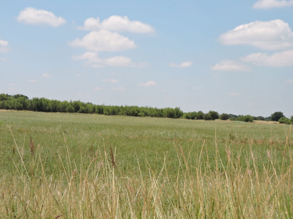 Mixed use farm for sale in Koster - 1RU1729210 Mixed use farm for sale in Koster - 1RU1729210