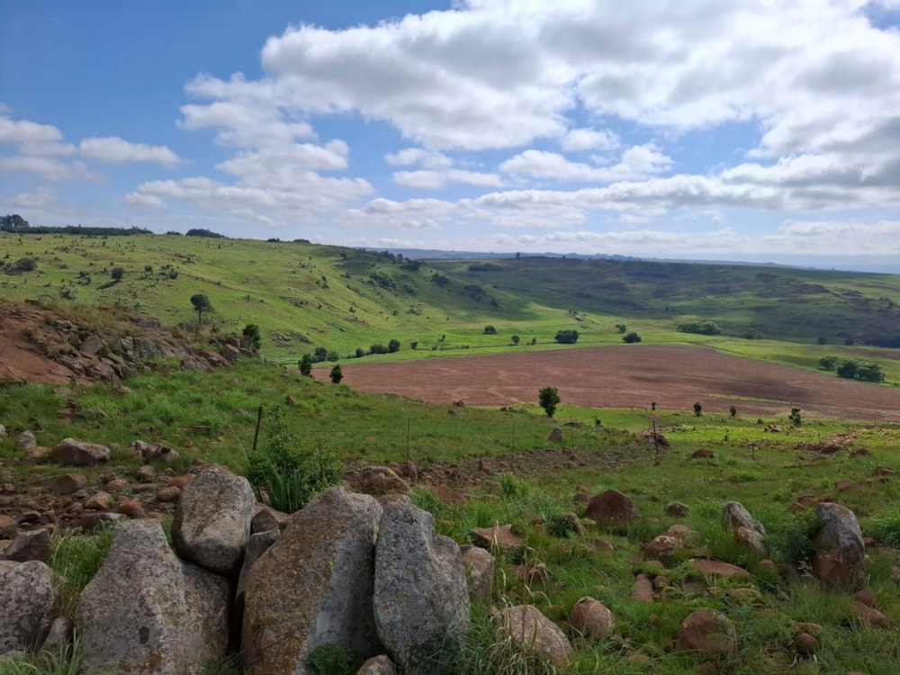 Mixed use farm for sale in Dullstroom - 1DS1729193