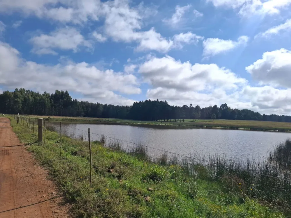 Mixed use farm for sale in Belfast - 1DS1729193 Mixed use farm for sale in Belfast - 1DS1729193