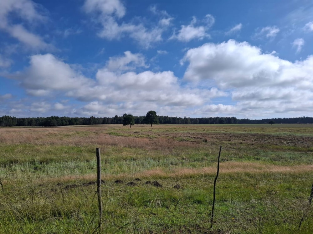 Mixed use farm for sale in Dullstroom - 1DS1729193