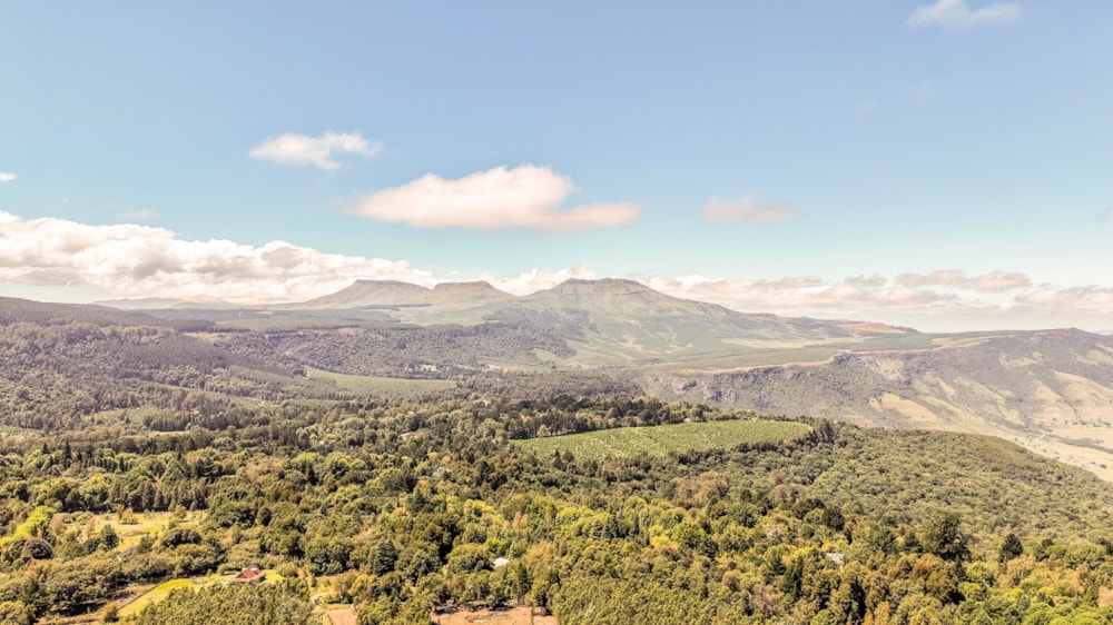 Residential vacant land for sale in Hogsback - 1EZ1731544