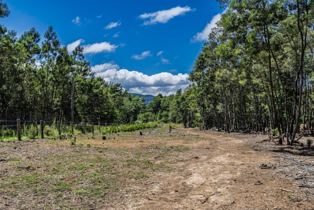 Residential vacant land for sale in Hogsback - 1EZ1731544