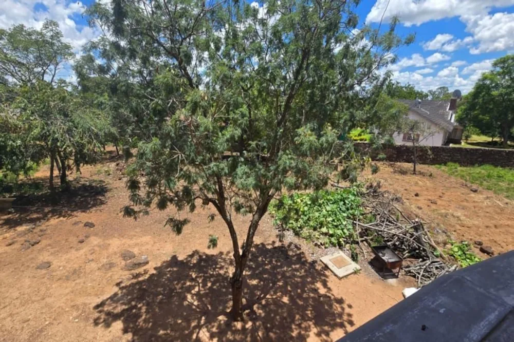 House for sale in Burnside, Bulawayo, Zimbabwe - 3ZB1729273 House for sale in Burnside, Bulawayo, Zimbabwe - 3ZB1729273