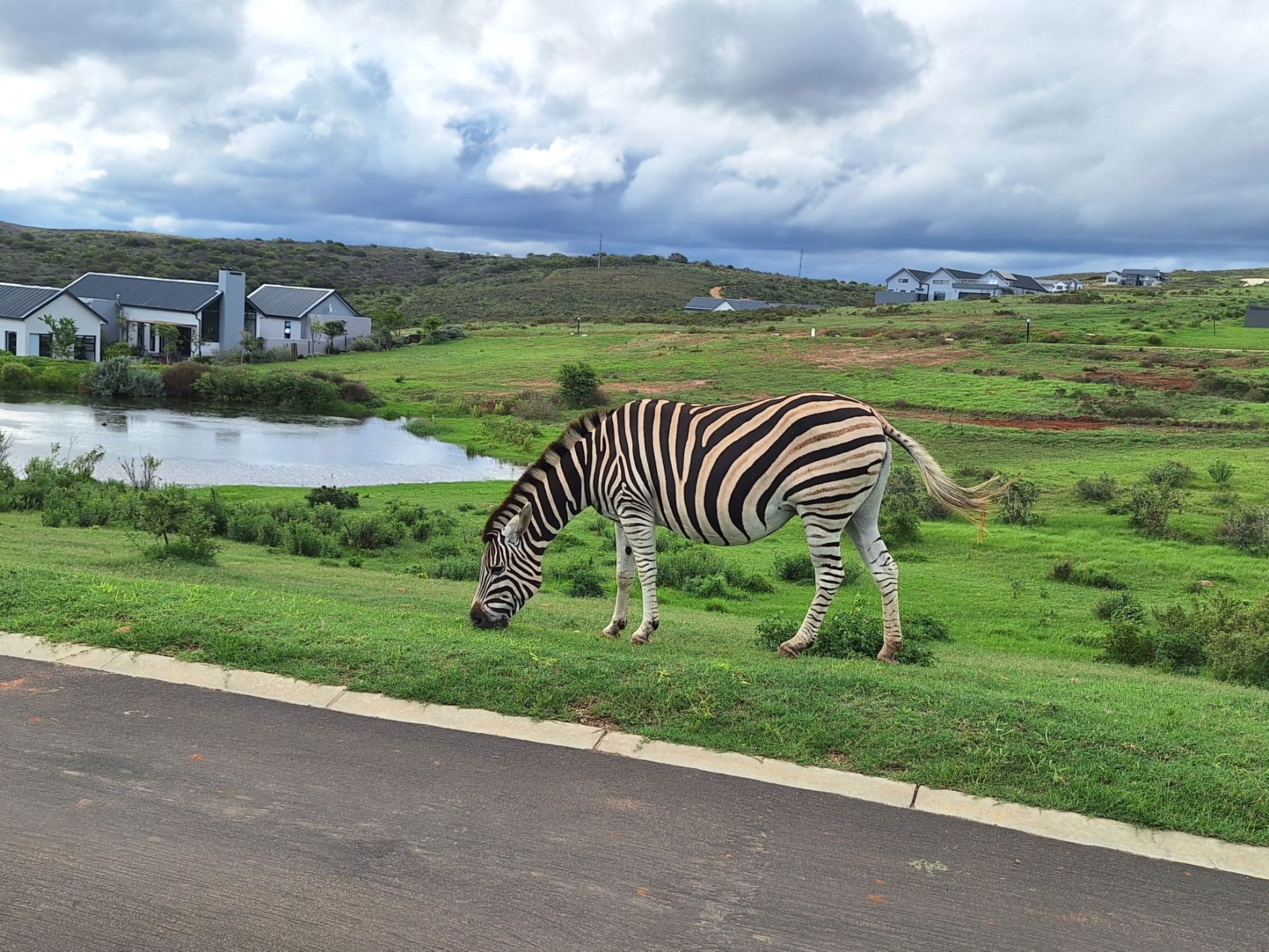 House for sale in Outeniquasbosch Wildlife Village - 1MB1730588