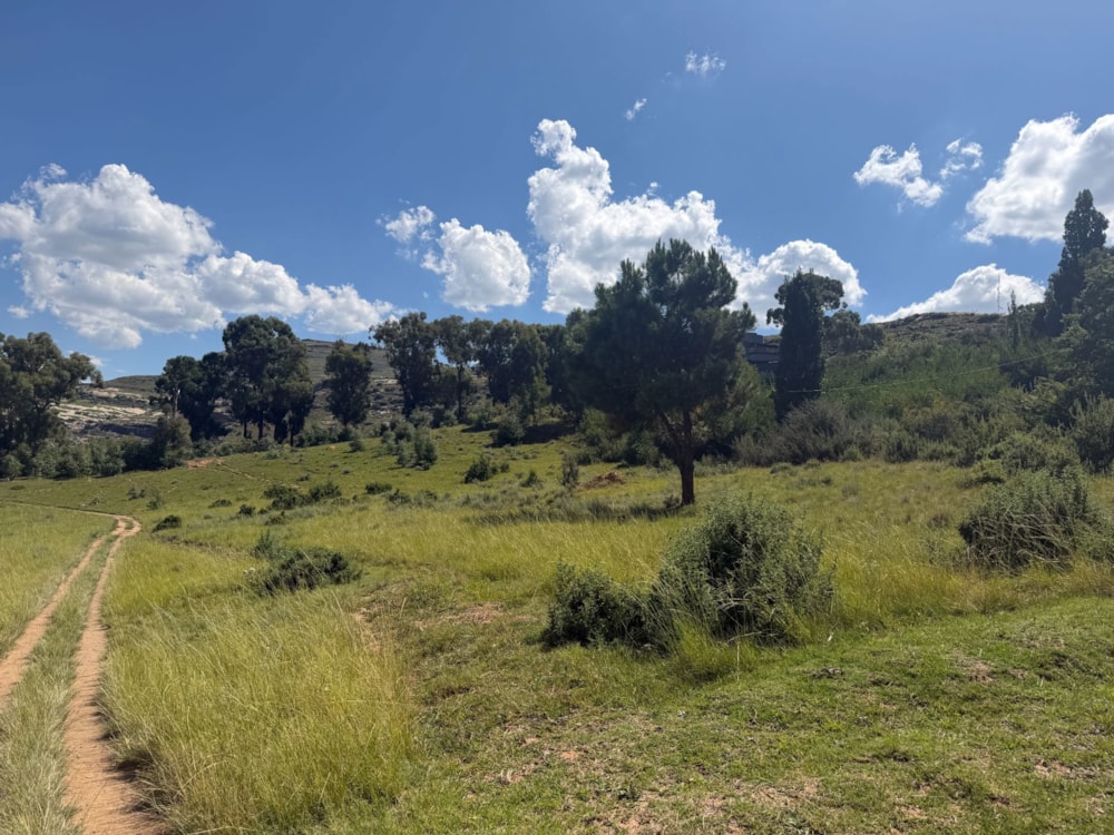 Vacant land for sale in Clarens - 1CS1729377 Vacant land for sale in Clarens - 1CS1729377