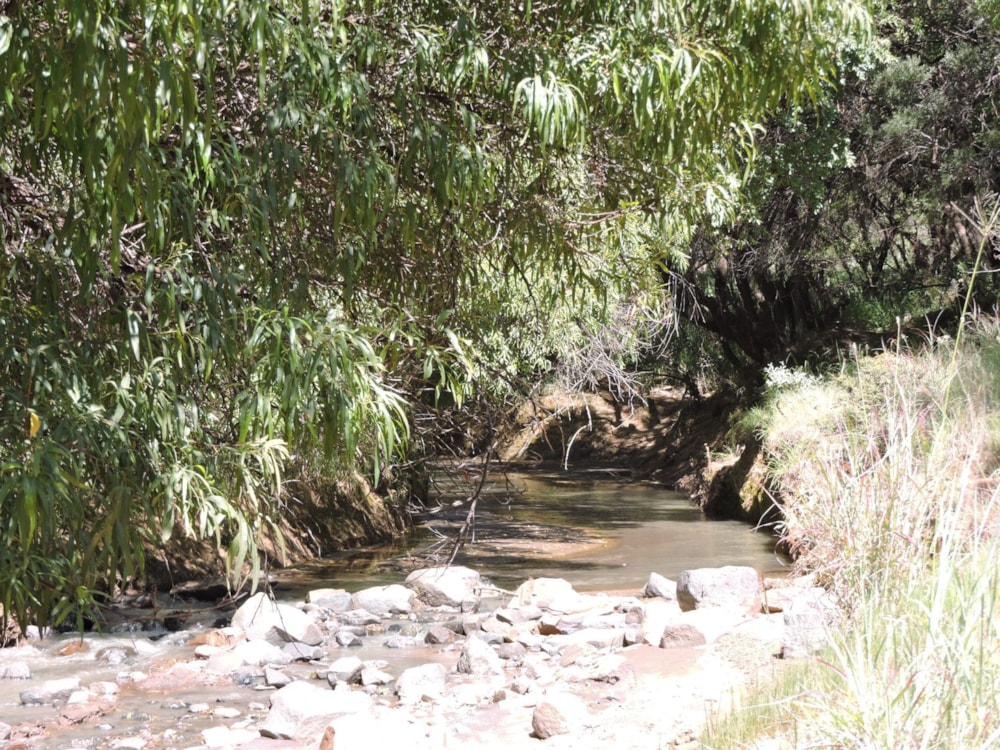 Game farm for sale in Groot Marico - 1RU1729561