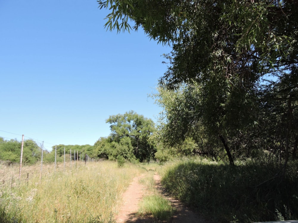 Game farm for sale in Groot Marico - 1RU1729561