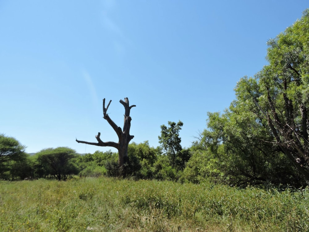 Game farm for sale in Groot Marico - 1RU1729561