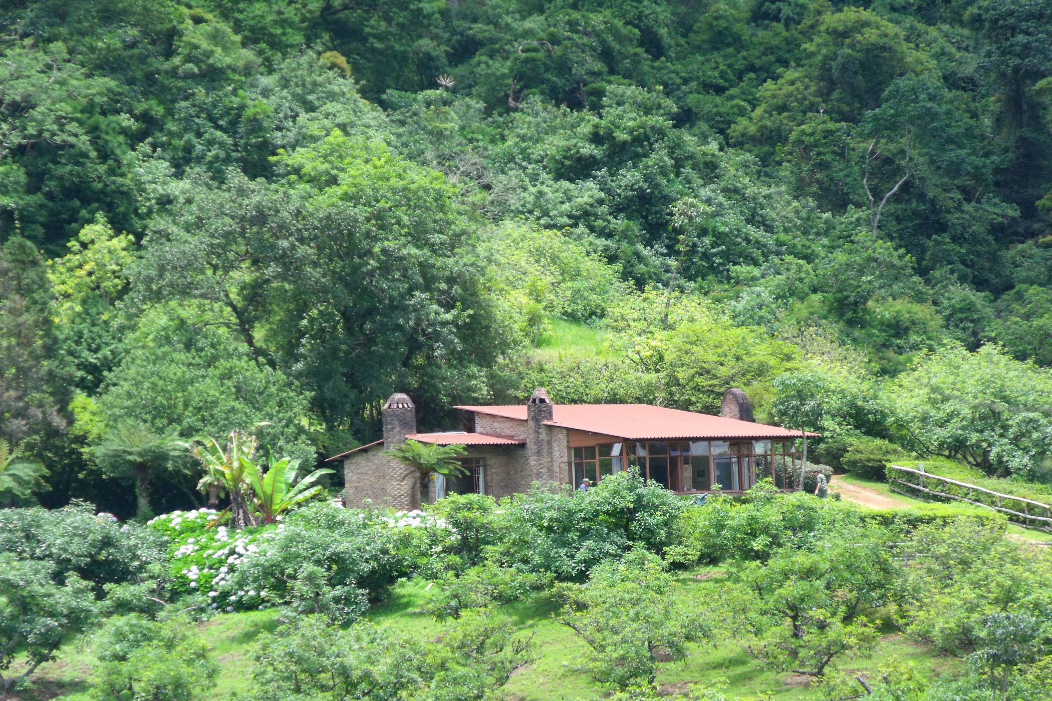 House for sale in Haenertsburg - 1TA1729981