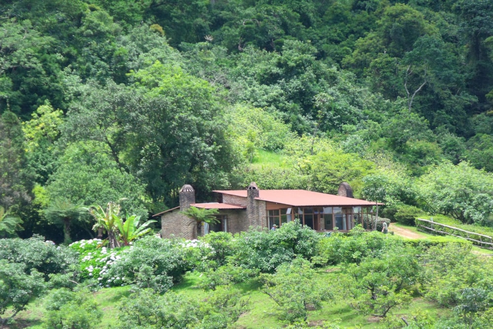 House for sale in Haenertsburg - 1TA1729981