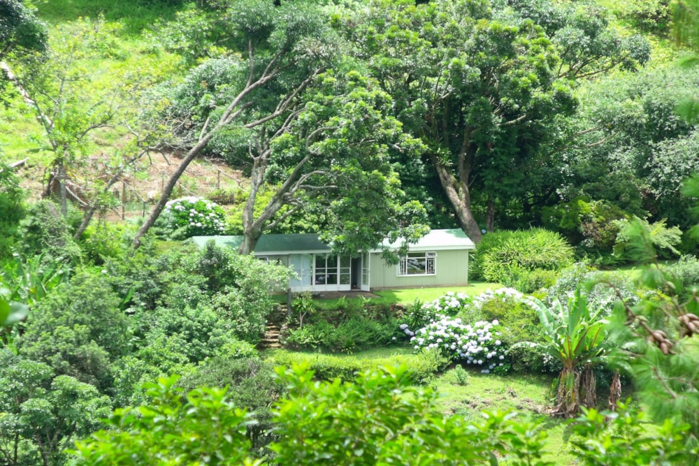 House for sale in Haenertsburg - 1TA1729981