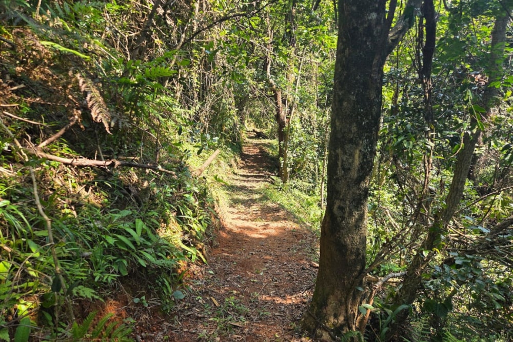 House for sale in Haenertsburg - 1TA1729981