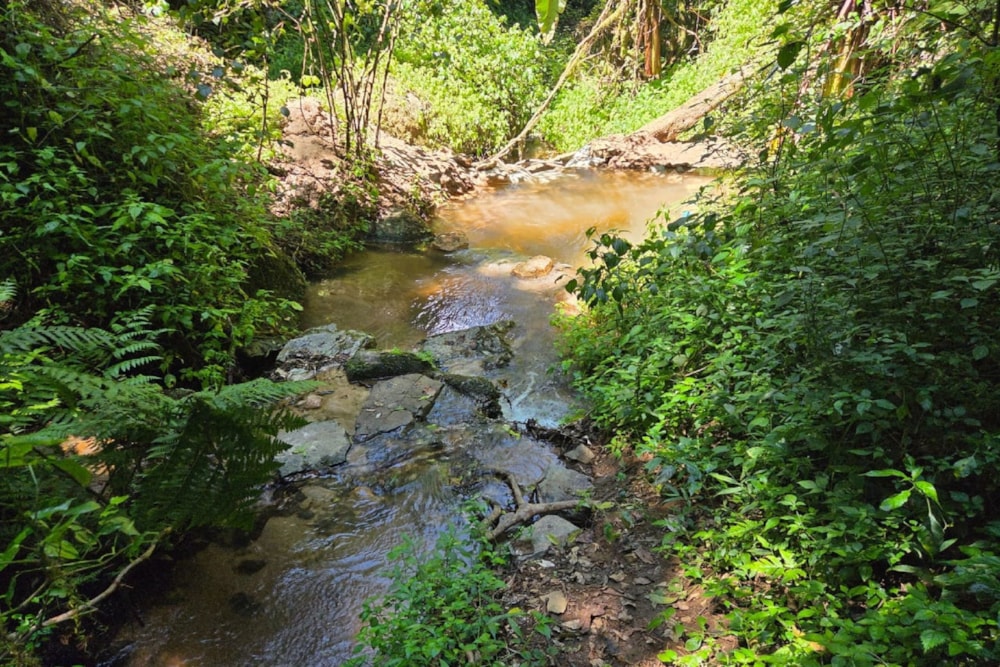 House for sale in Haenertsburg - 1TA1729981