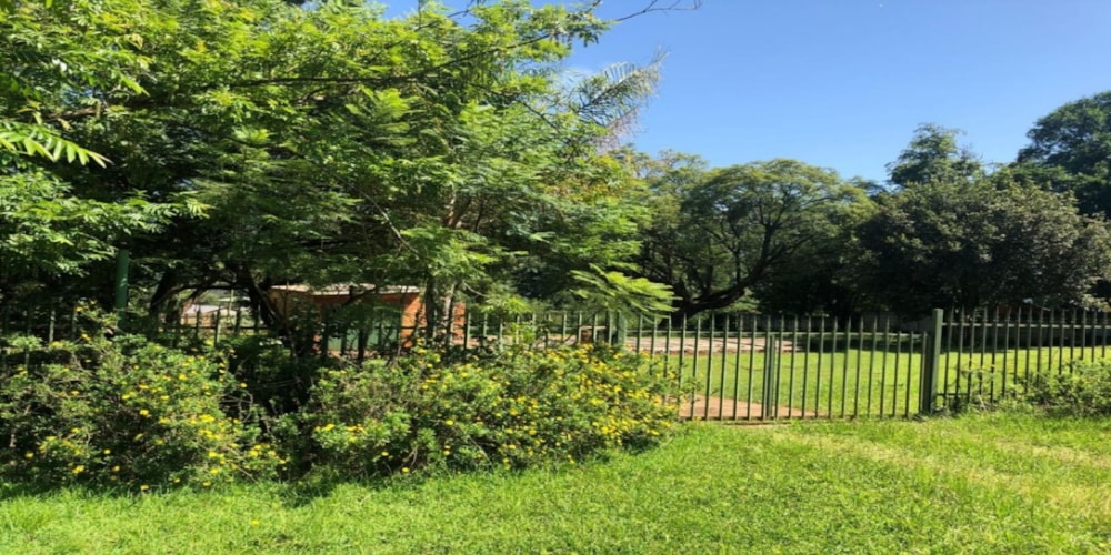 Vacant land for sale in Sabie - 1LY1729686 Vacant land for sale in Sabie - 1LY1729686