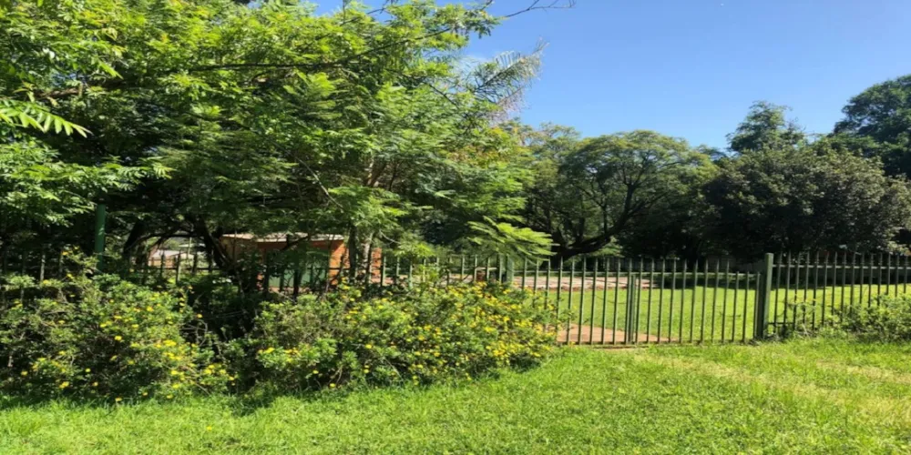 Vacant land for sale in Sabie - 1LY1729686 Vacant land for sale in Sabie - 1LY1729686