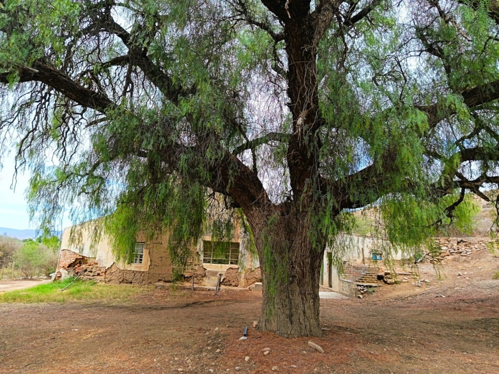 Vacant land for sale in Calitzdorp - 1OU1729725 Vacant land for sale in Calitzdorp - 1OU1729725