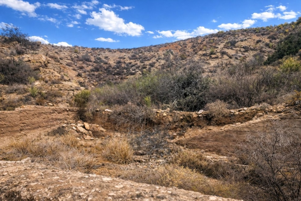 Vacant land for sale in Calitzdorp - 1OU1729725 Vacant land for sale in Calitzdorp - 1OU1729725