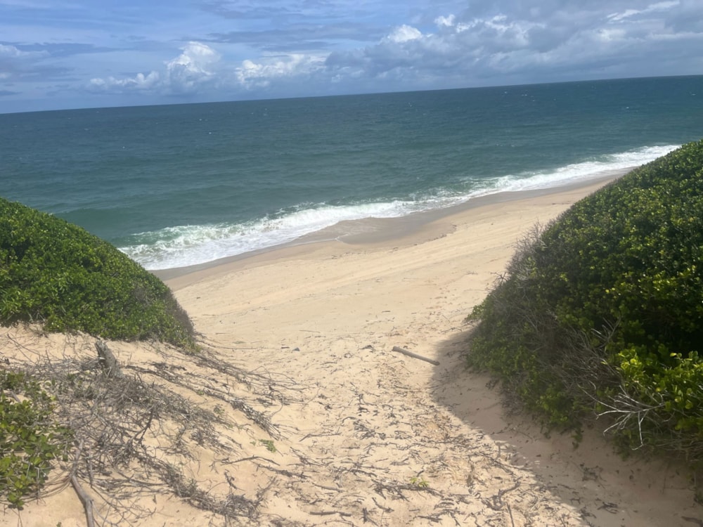 Vacant land for investment in Praia de Macaneta, Mozambique - 3MQ1729780