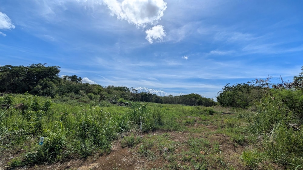 Vacant land for sale in Calodyne, Mauritius - MPR1729787