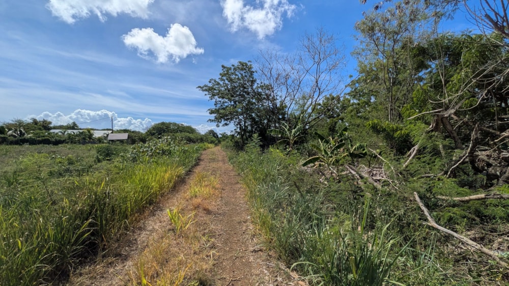 Vacant land for sale in Calodyne, Mauritius - MPR1729787