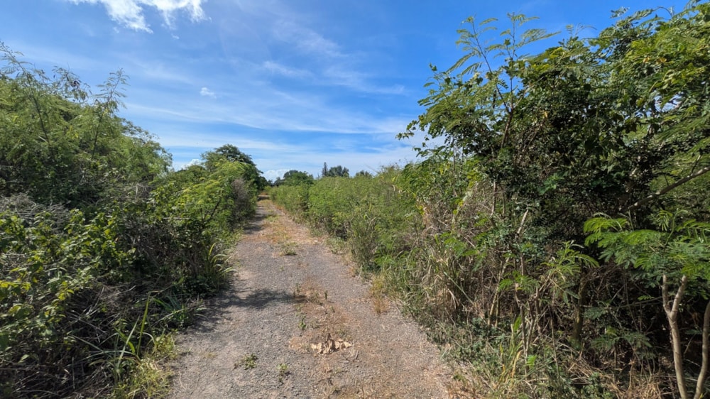 Vacant land for sale in Calodyne, Mauritius - MPR1729787