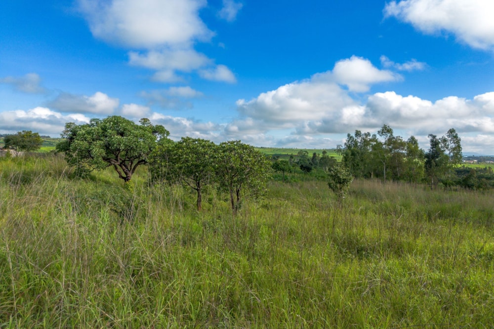 Vacant land for sale in Hogerty hill, Zimbabwe - 3ZB1729853