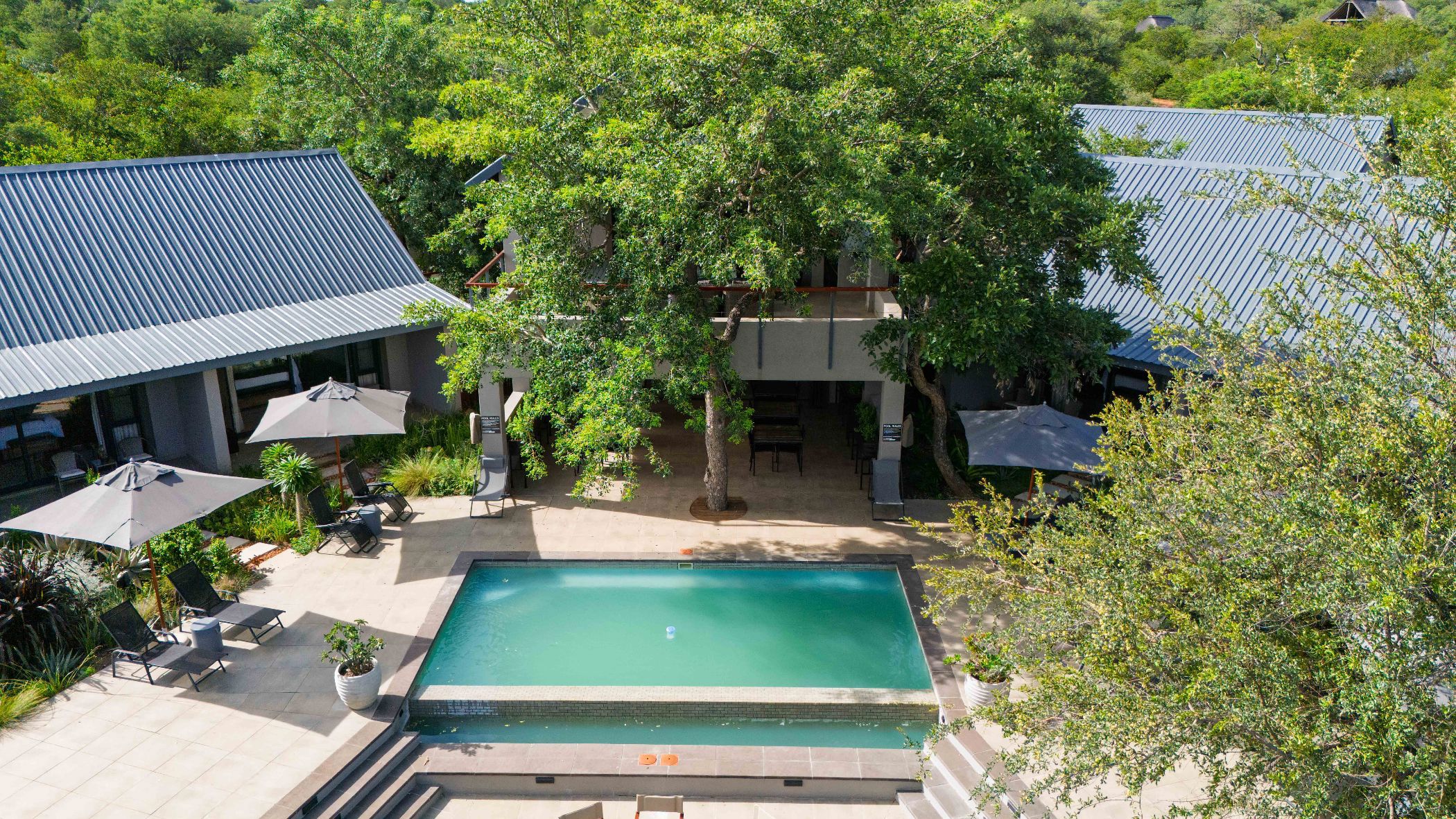 Game lodge for sale in Hoedspruit Wildlife Estate - 1HS1730206