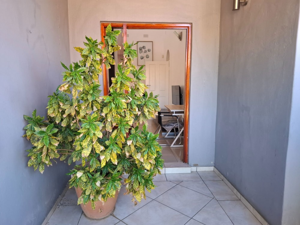 House to rent in Block 5, Botswana - 3BO1730275 House to rent in Block 5, Botswana - 3BO1730275