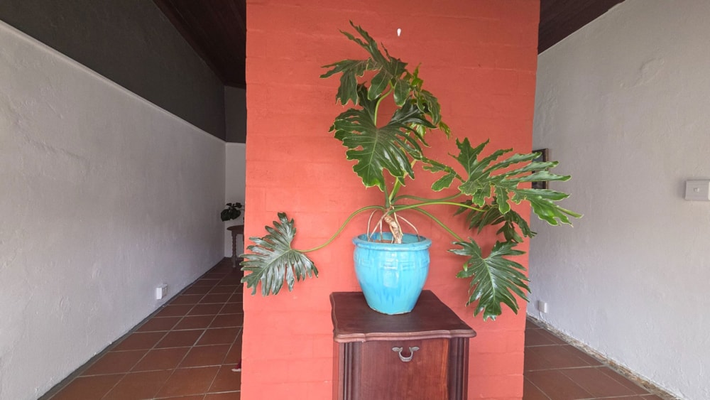 House to rent in Malmesbury - 1MS1731018 House to rent in Malmesbury - 1MS1731018