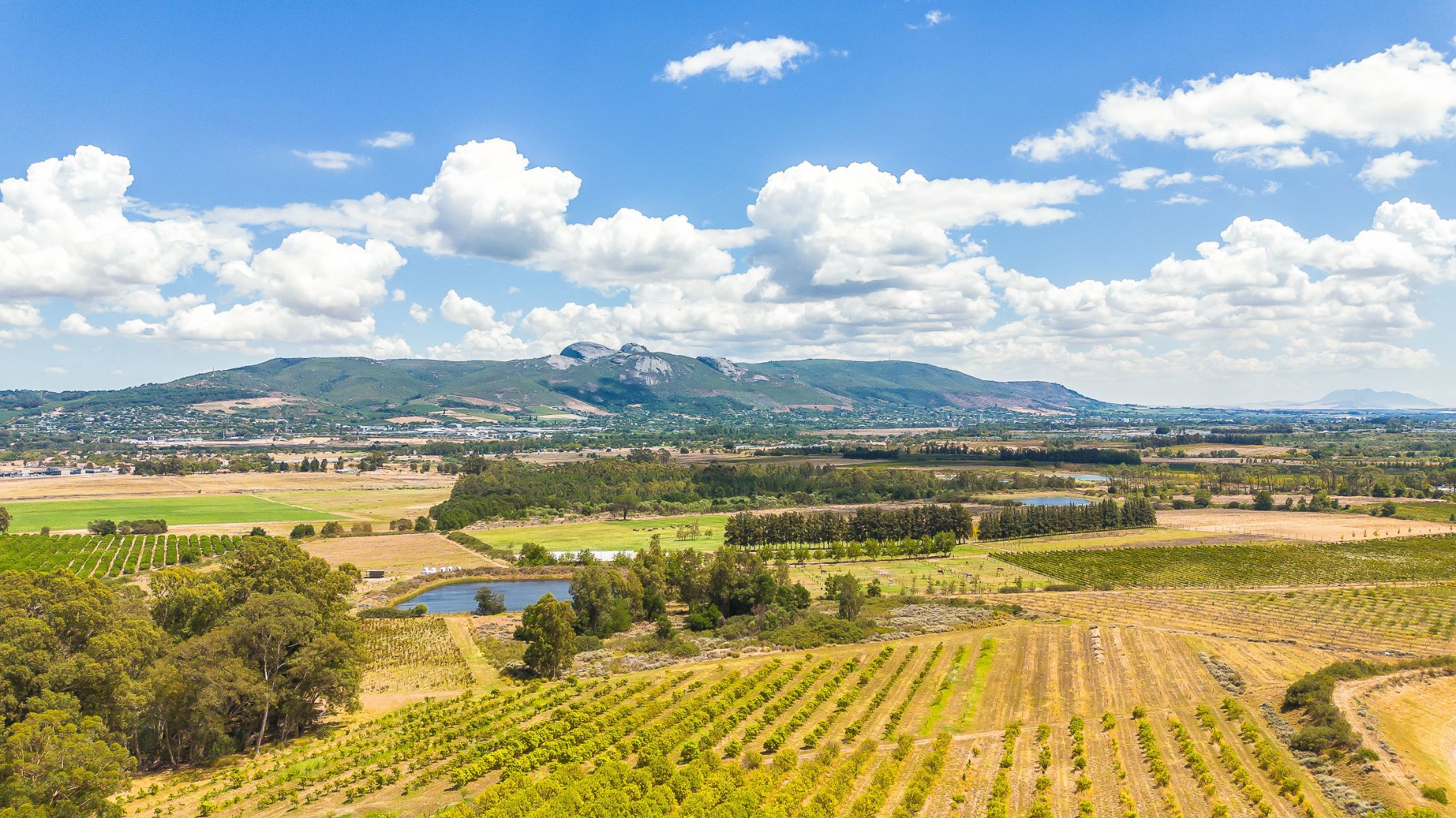 Wine farm for sale in Paarl - TK1731328