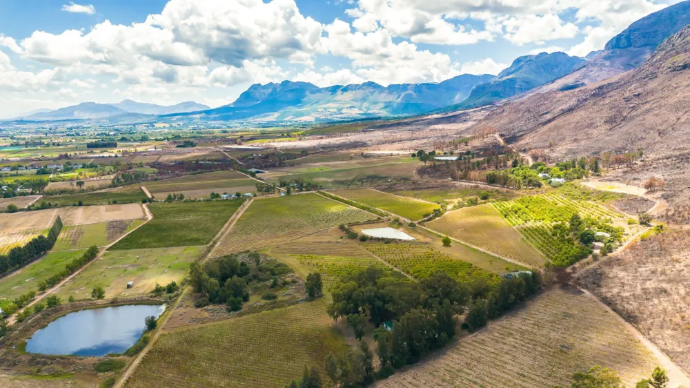 Lifestyle property for sale in Paarl - TK1731328 Lifestyle property for sale in Paarl - TK1731328